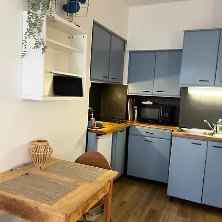 Indepdt Centre 300m Du D'annecy Apartment Veyrier-du-Lac